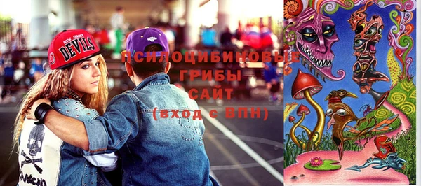 стаф Чекалин