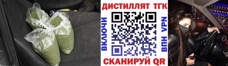 Купить где  Пошехонье  ТГК концентрат 