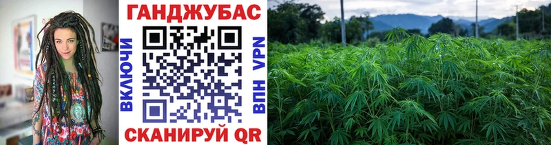 Купить где  Пошехонье  Шишки марихуана план 